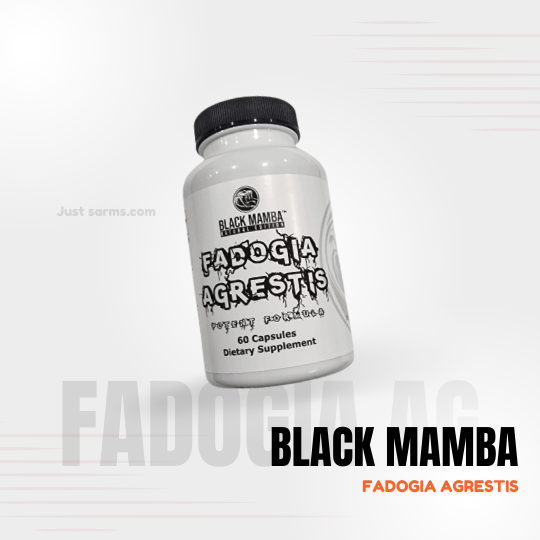 Black Mamba fadogia agrestis